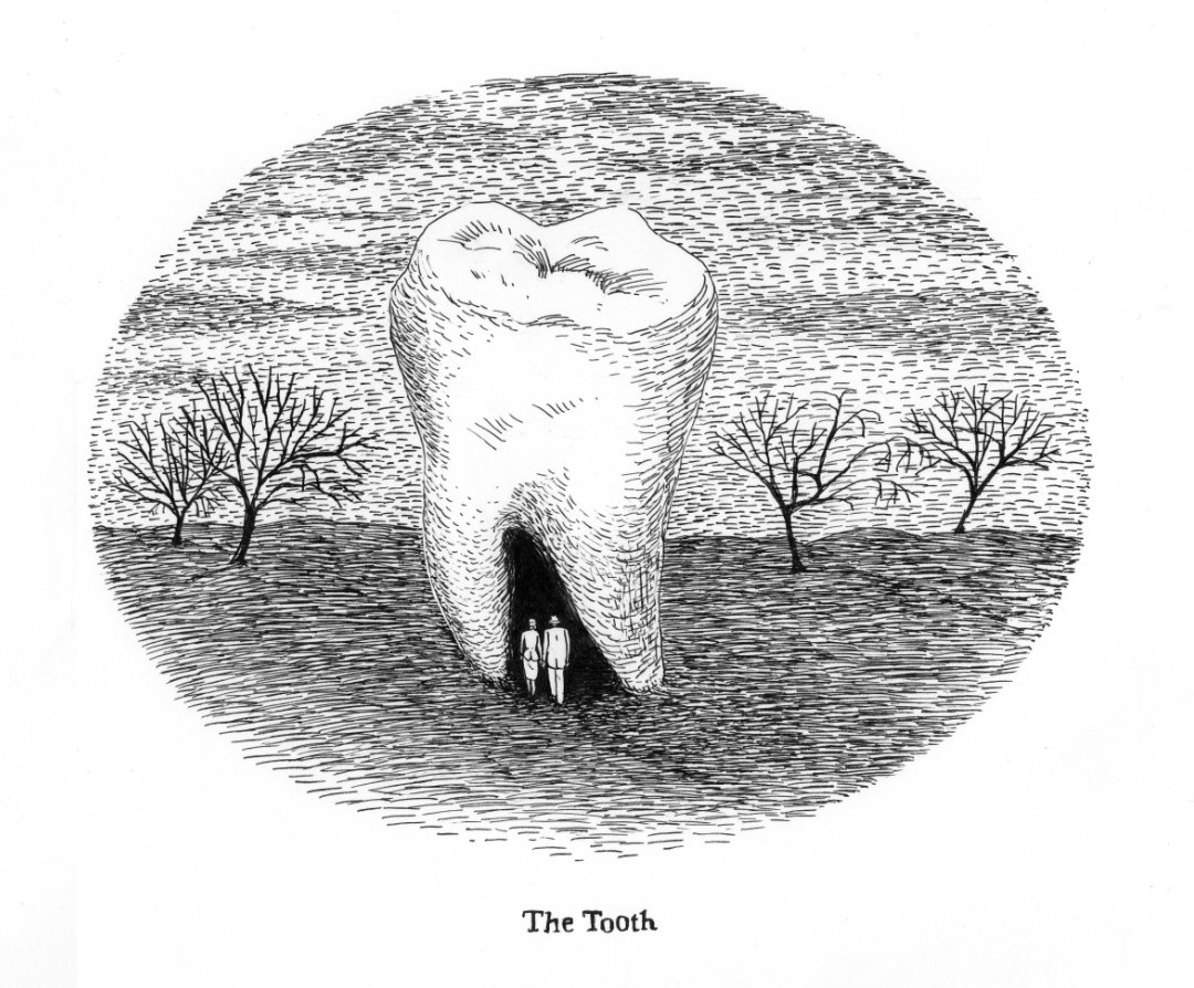 the_tooth.jpg